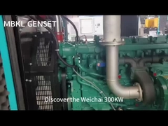 ওয়েচাই সাইলেন্ট জেনারেটর সেট 300KW