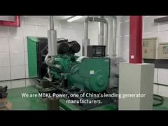 আমাদের কারখানা থেকে দুটি ১০০০ কেভিএ ডিজেল জেনারেটর সেটের নির্বিঘ্ন সরবরাহ প্রত্যক্ষ করুন!