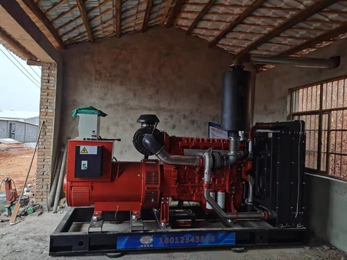 Latest company news about পোল্ট্রি ফার্মিং কারখানায় ৪০০ কেডব্লিউ ডিজেল জেনারেটর সেট স্থাপন করা হবে